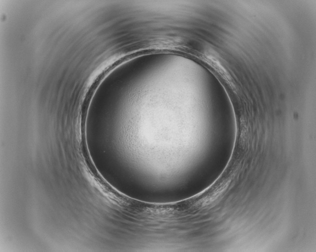 X0000088070939200705111402