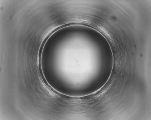 X0000088070940200705111402
