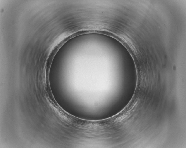 X0000088070982200705111402
