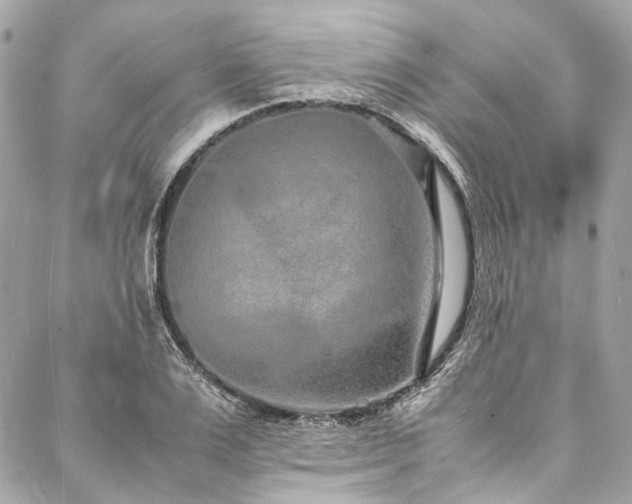 X0000088070983200705111402