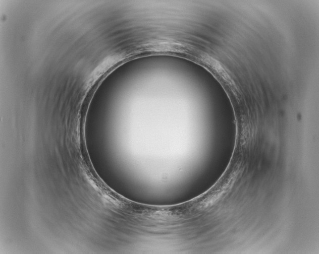 X0000088070986200705111402