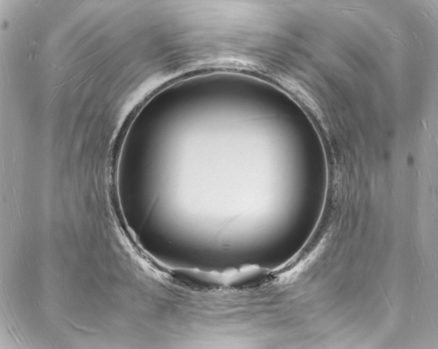 X0000088070989200705111401