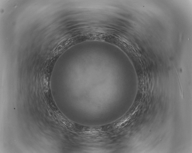 X0000088071013200705111400