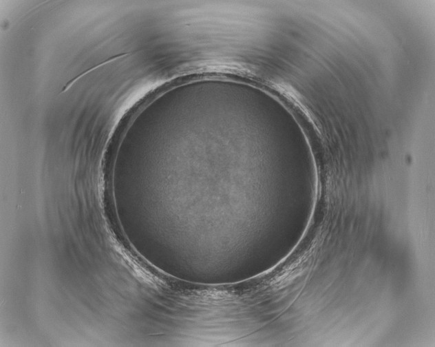 X0000088071024200705111401