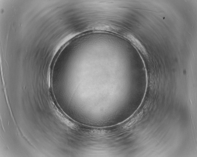 X0000088071036200705111401