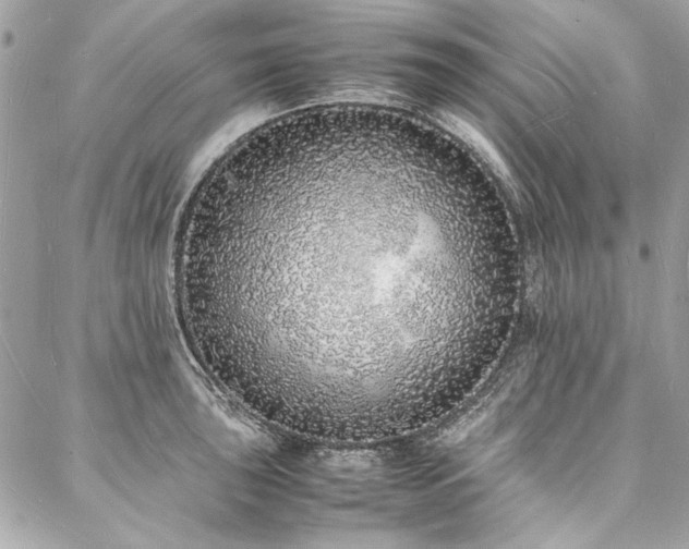 X0000088071043200705111401
