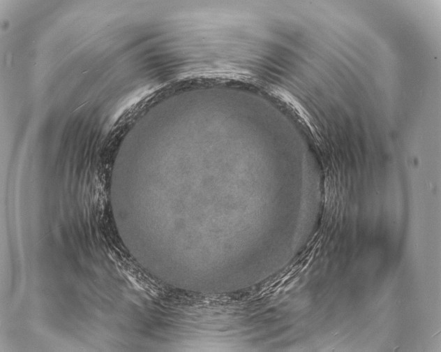 X0000088071064200705111400