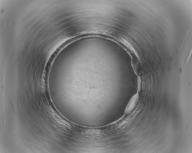 X0000088071068200705111400