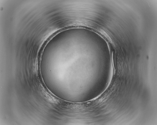 X0000088071076200705111400