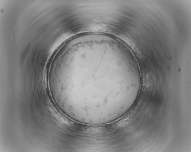 X0000088071078200705111400