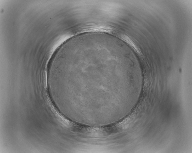 X0000088071079200705111400
