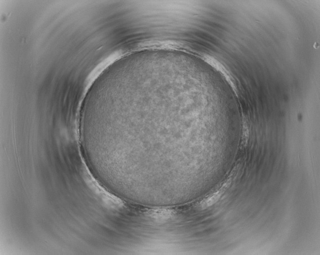 X0000088071090200705111400