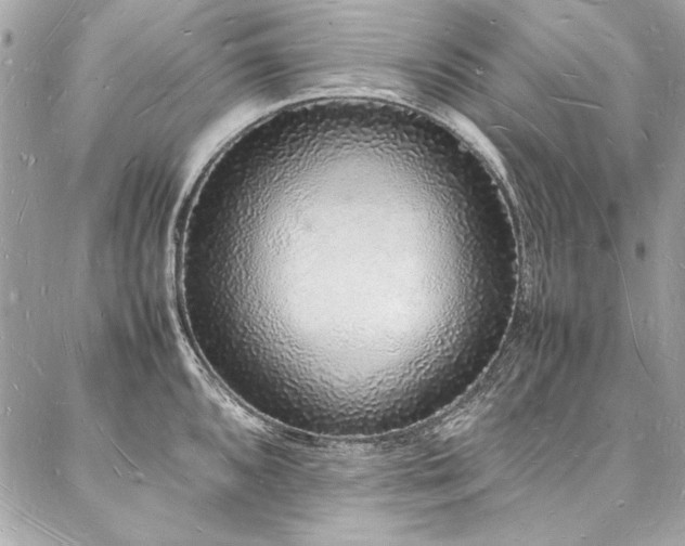 X0000088071096200705111400