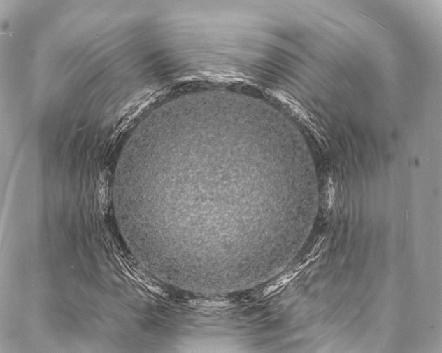 X0000088071110200705111359
