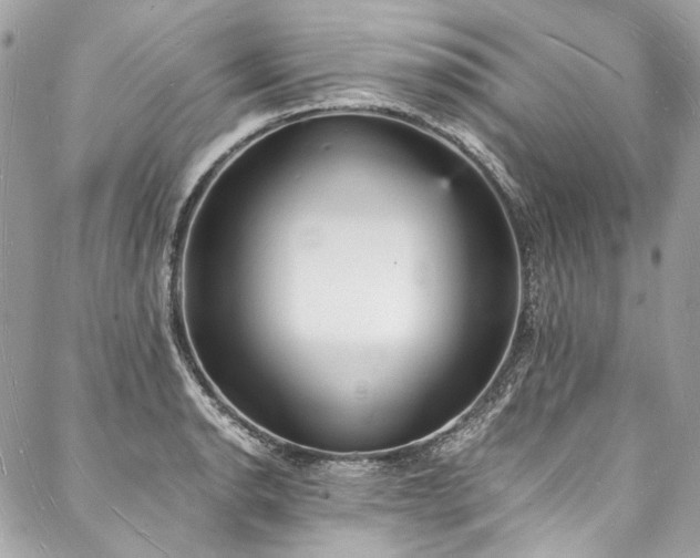 X0000088071134200705111359