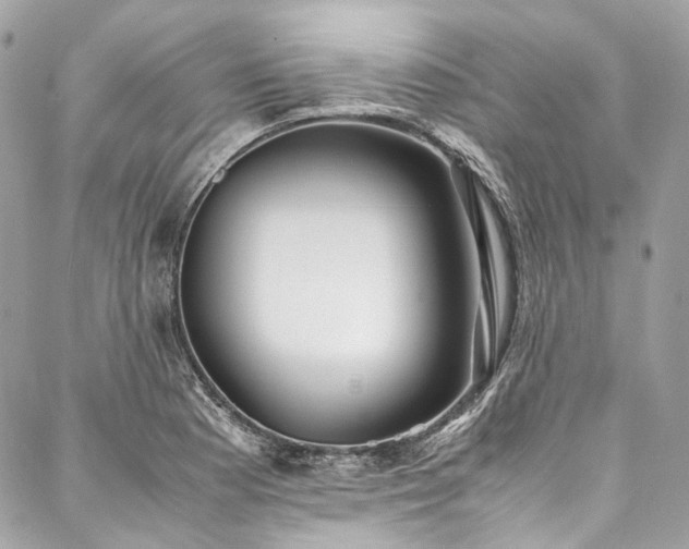 X0000088071177200705111358