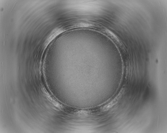 X0000088071178200705111358