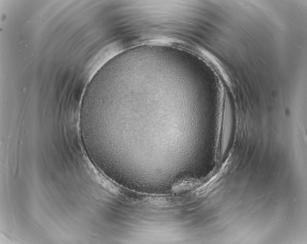 X0000088071194200705111358