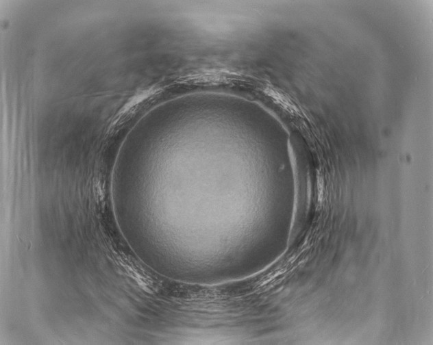 X0000088071206200705111357