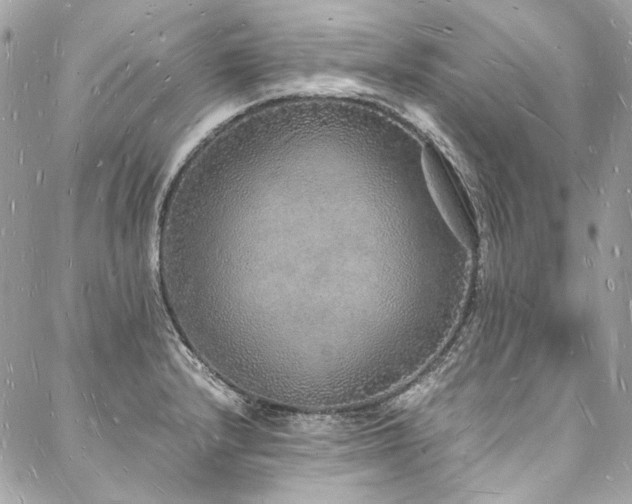 X0000088071232200705111358