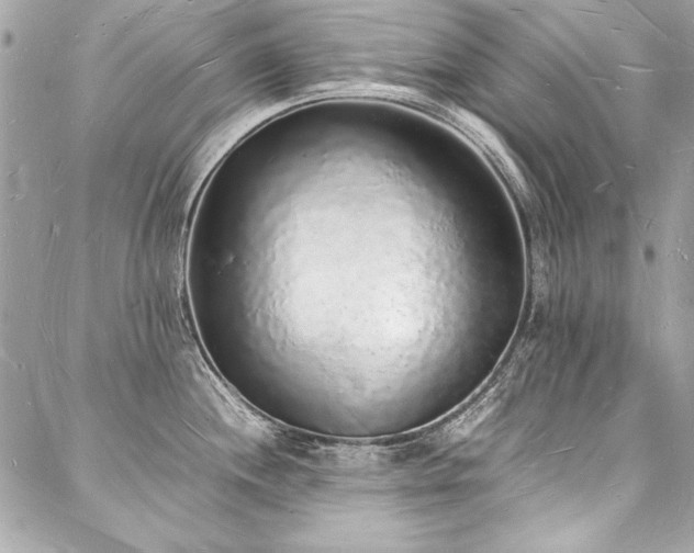 X0000088071244200705111358