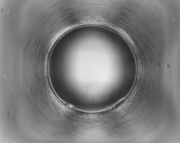 X0000088071246200705111358
