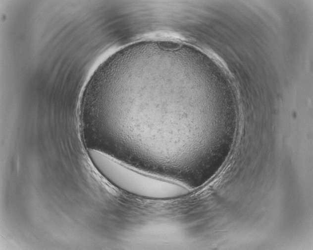 X0000088071248200705111358