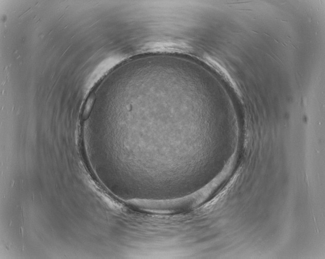 X0000088071277200705111357