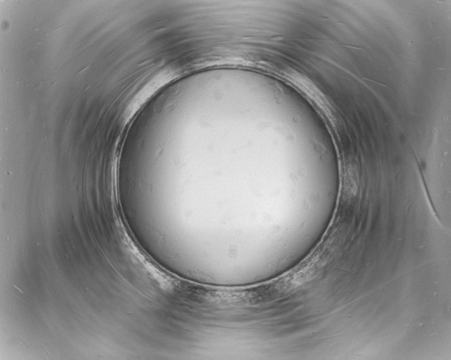 X0000088071290200705111357