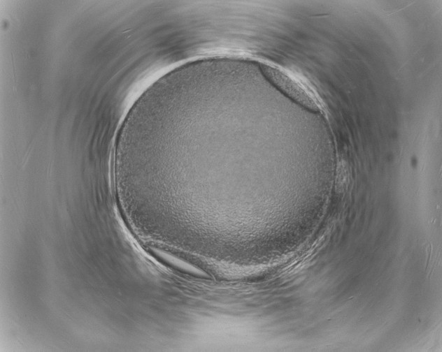 X0000088071295200705111357