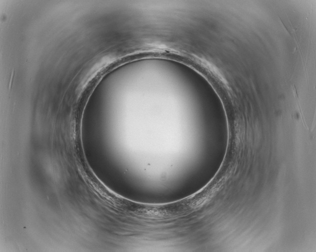 X0000088071318200705111356