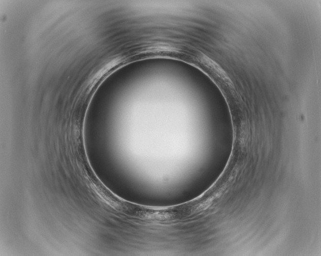 X0000088071321200705111356
