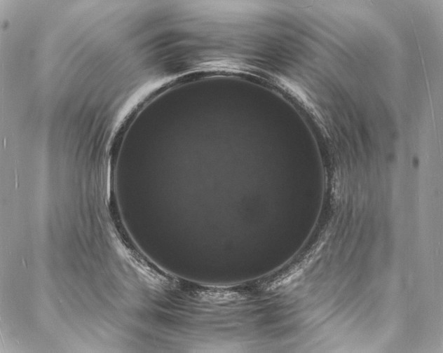 X0000088071323200705111356