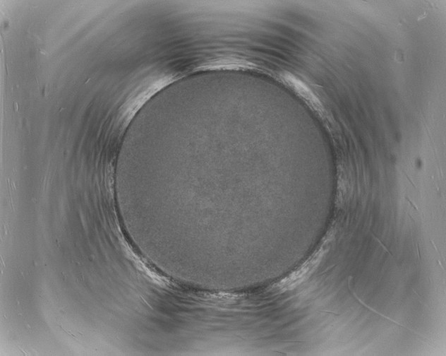 X0000088071329200705111356