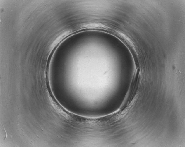 X0000088071330200705111356