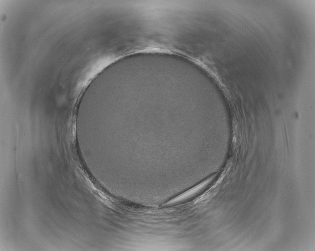 X0000088071367200705111355