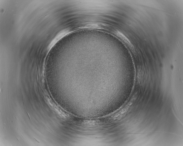 X0000088071378200705111355