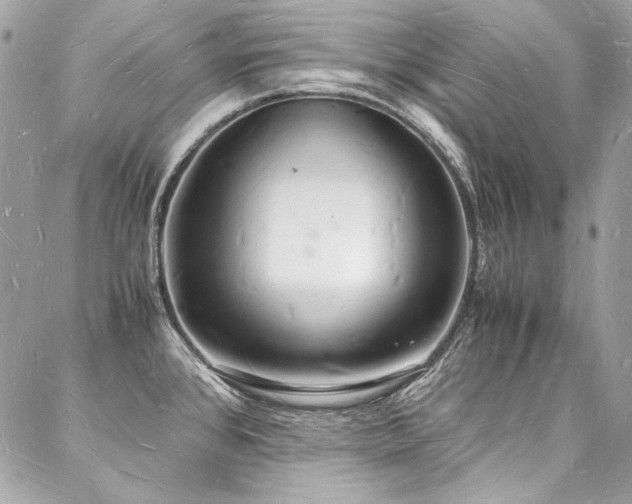 X0000088071384200705111355