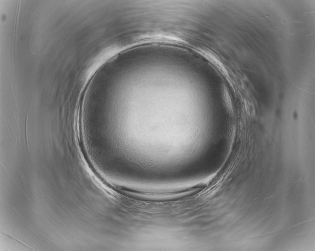 X0000088071391200705111355