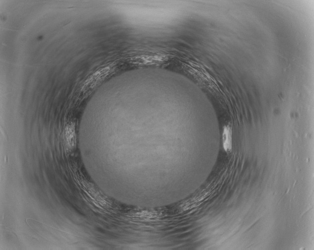 X0000088071395200705111354