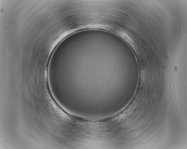 X0000088071428200705111355