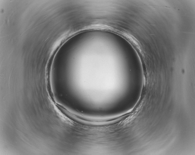 X0000088071430200705111355