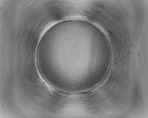 X0000088071440200705111355