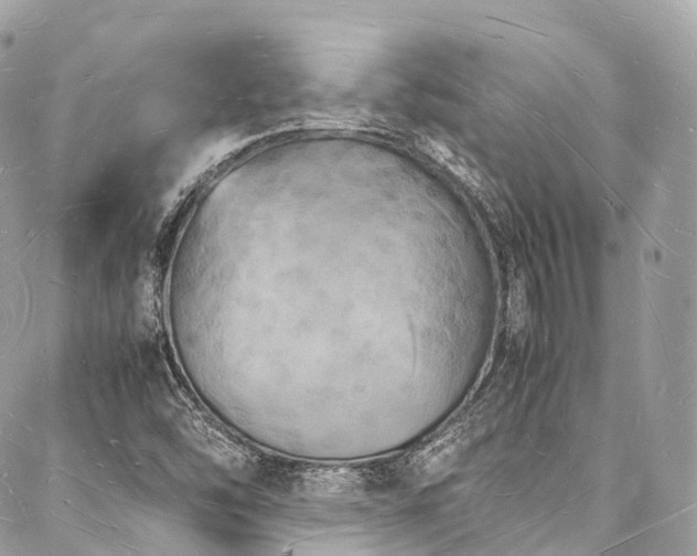 X0000088071454200705111354