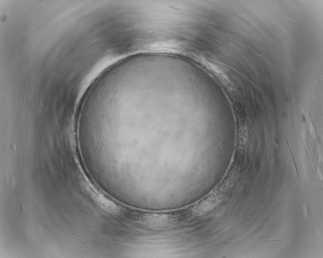 X0000088071470200705111354