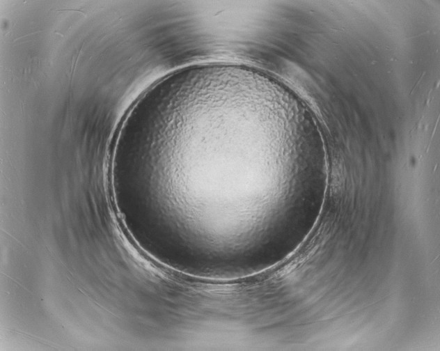 X0000088071484200705111353