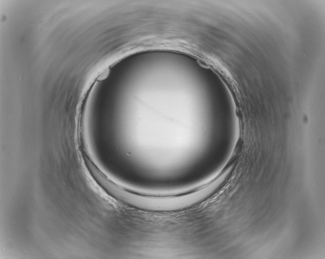 X0000088071528200705111353