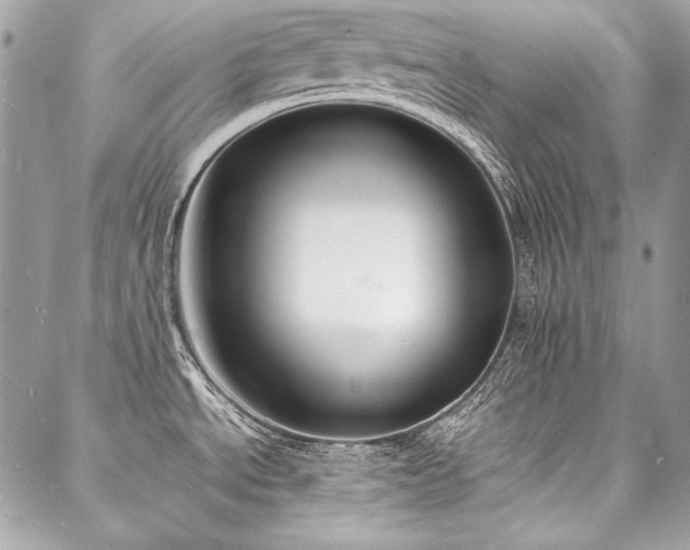 X0000088071534200705111353