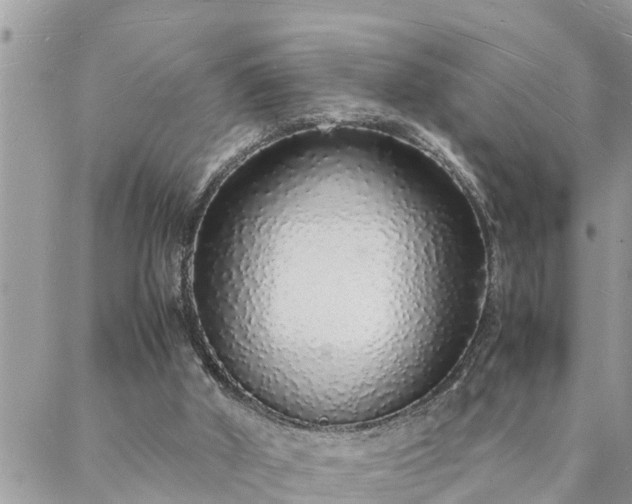 X0000088070010200705182218