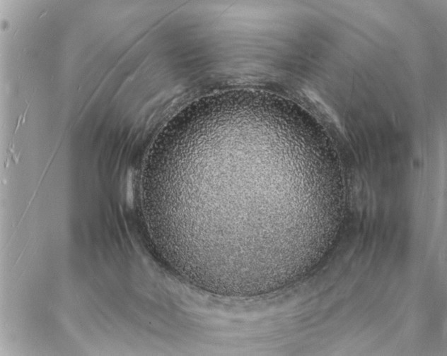 X0000088070026200705182217